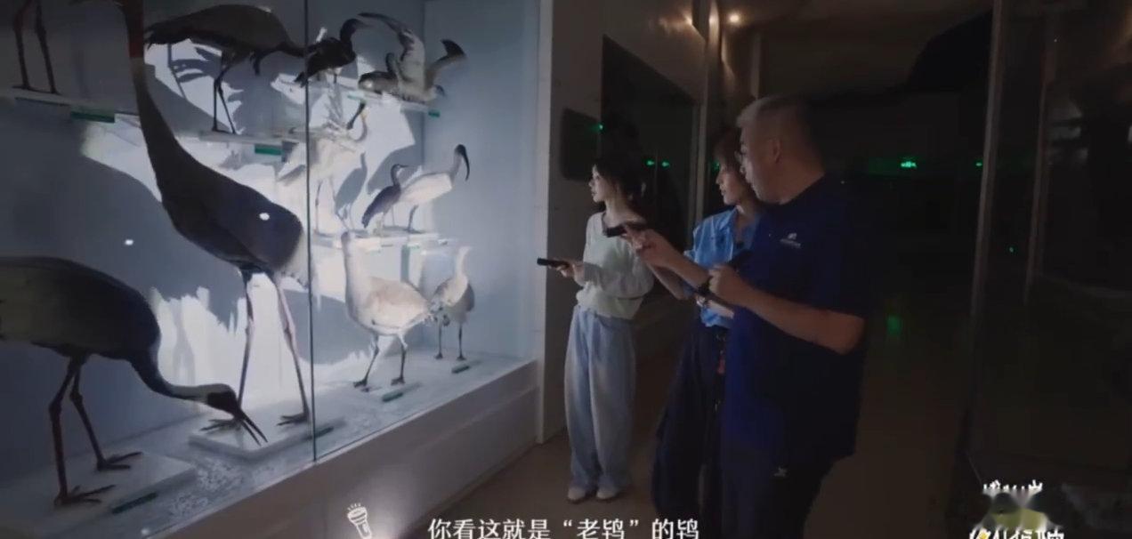 原来老鸨的称呼来源于鸟谁能想到啊，老鸨的称呼来源居然是一种鸟，转头又看见大白鹭小