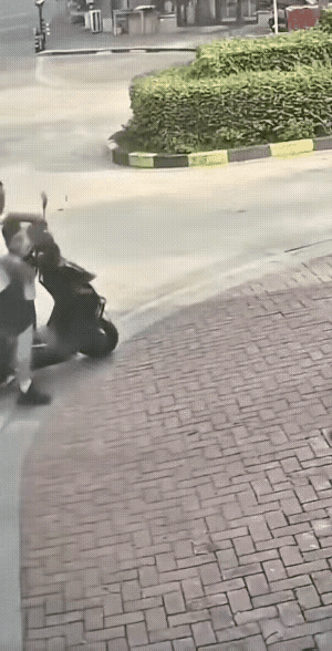 真的要夸爆这位爸爸的反应！
         那狗直奔孩子冲过来时，他没有半秒犹