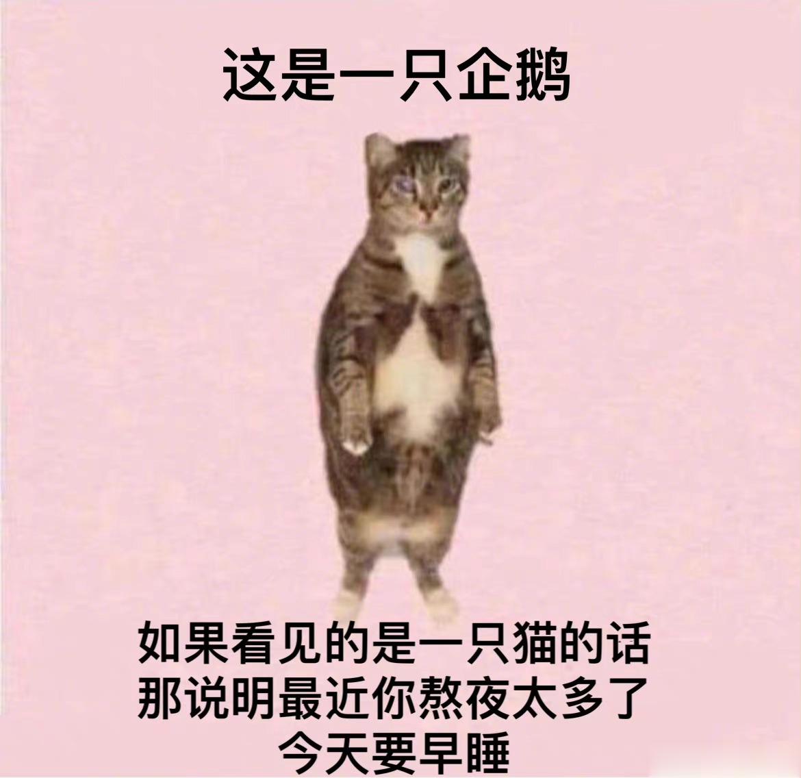 讲个无聊的小故事，它甚至不能算故事，只是几段话。吉恩国最近10年一直在和一种瘴气
