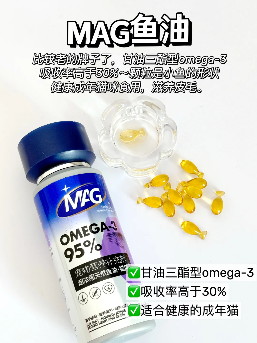 新手养猫｜双十一猫咪鱼油囤货攻略