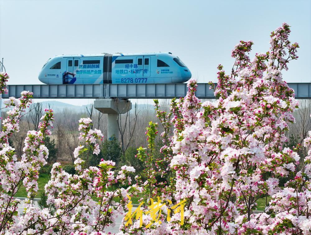 一路繁花！跟随云巴开往济南的春天-app/#/content?catid=39&