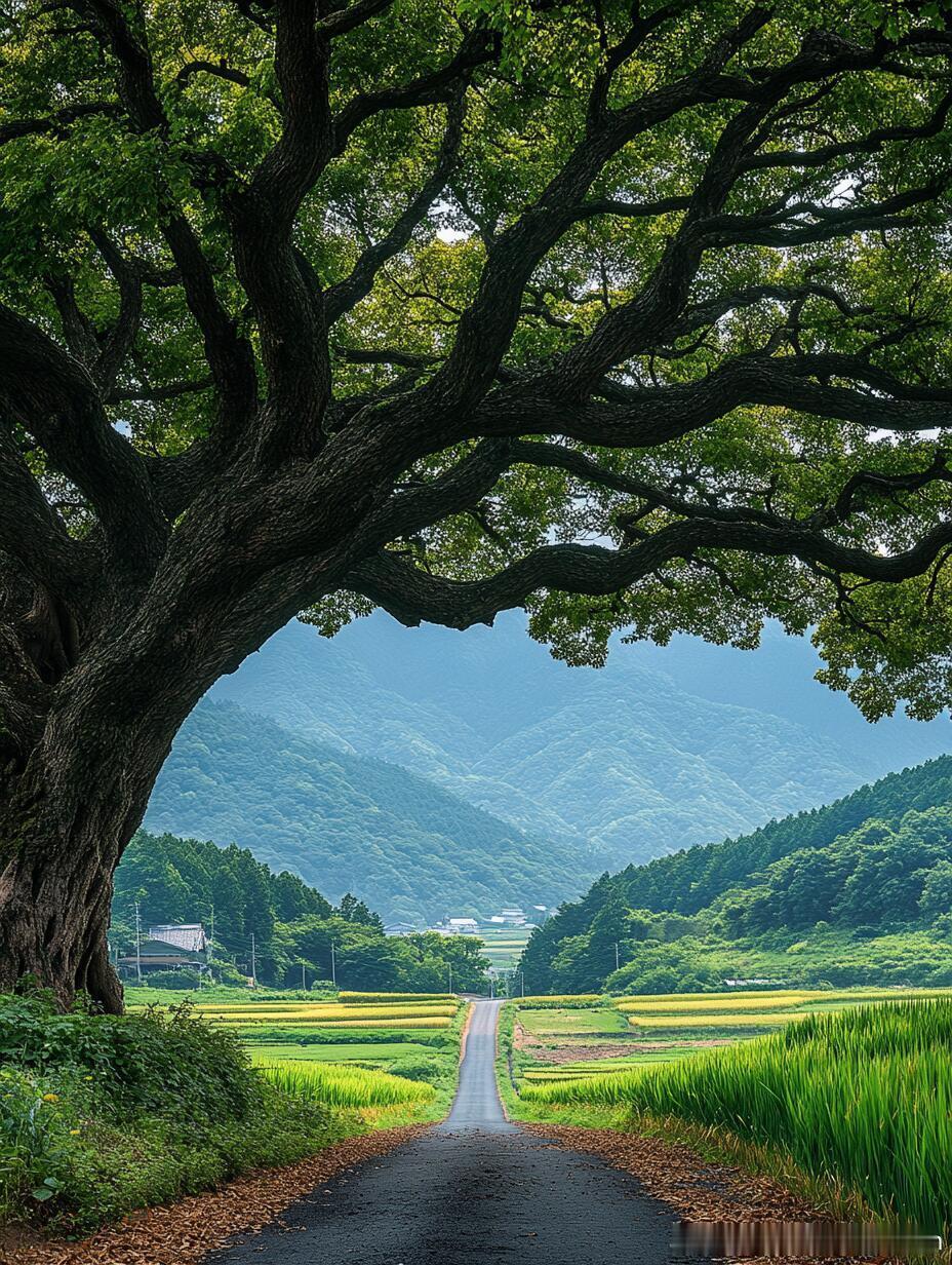 机会主义看一时，长期主义看一生抓住机会的人，可能在短时间内爆红；但只有长期主义者