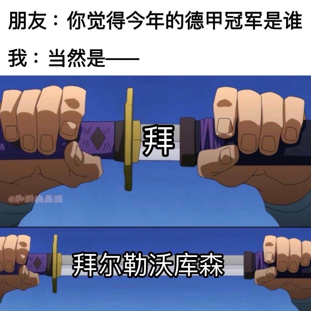 那还能有谁呀#拜仁慕尼黑##勒沃库森##meme# ​​​