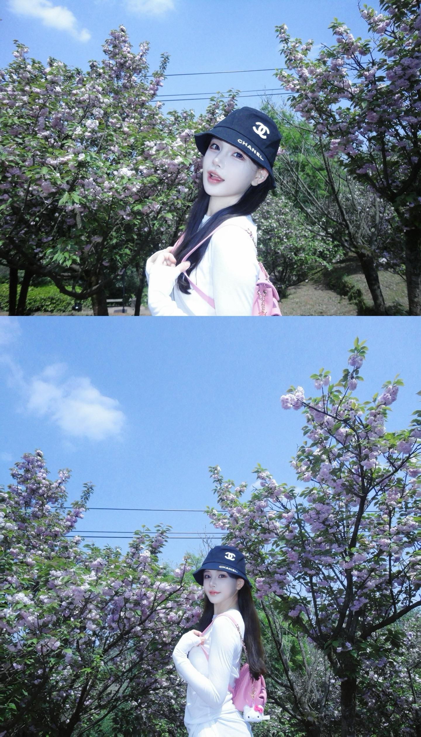 吹人间的风 🌤️