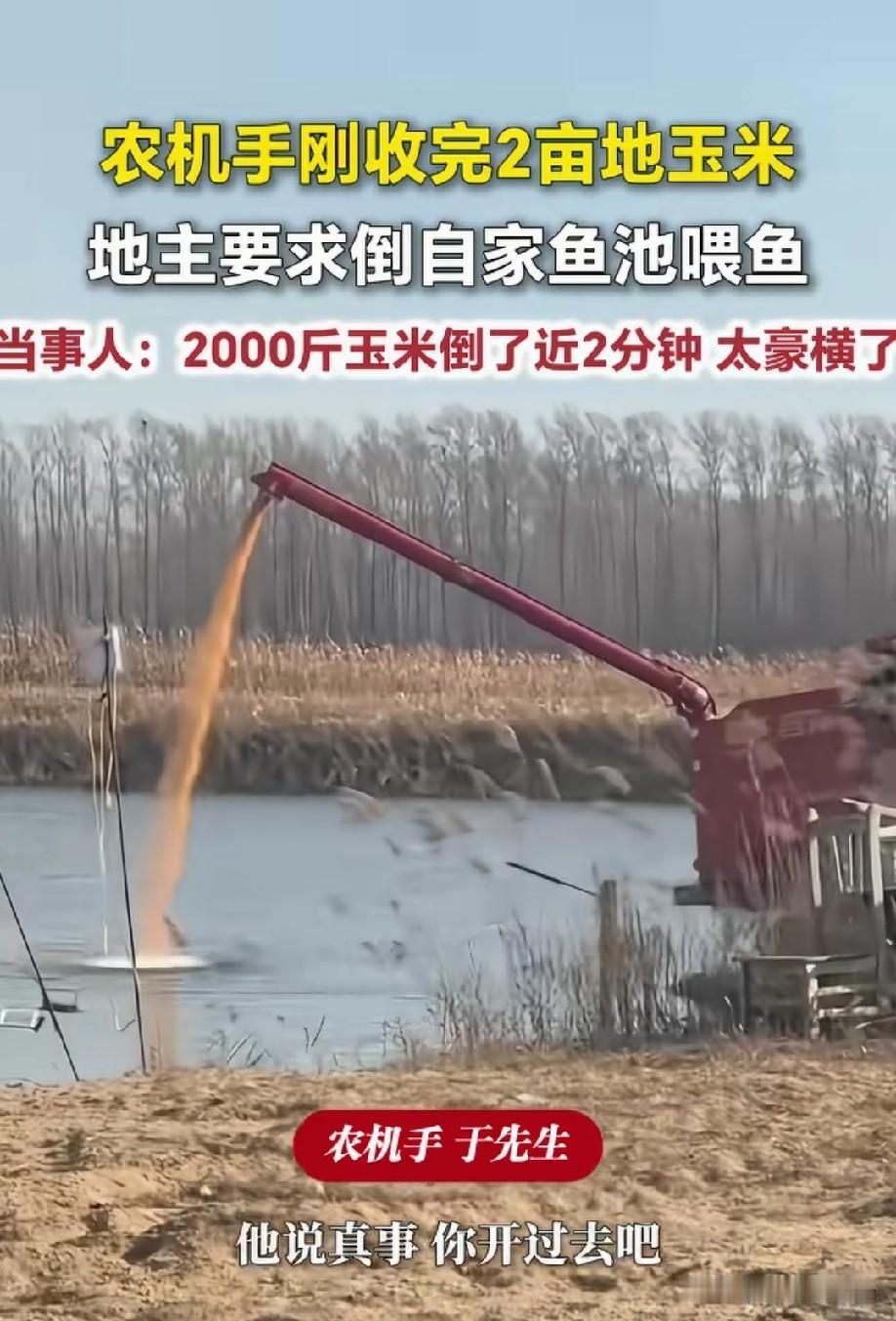 喂这么多，不怕鱼撑死啊