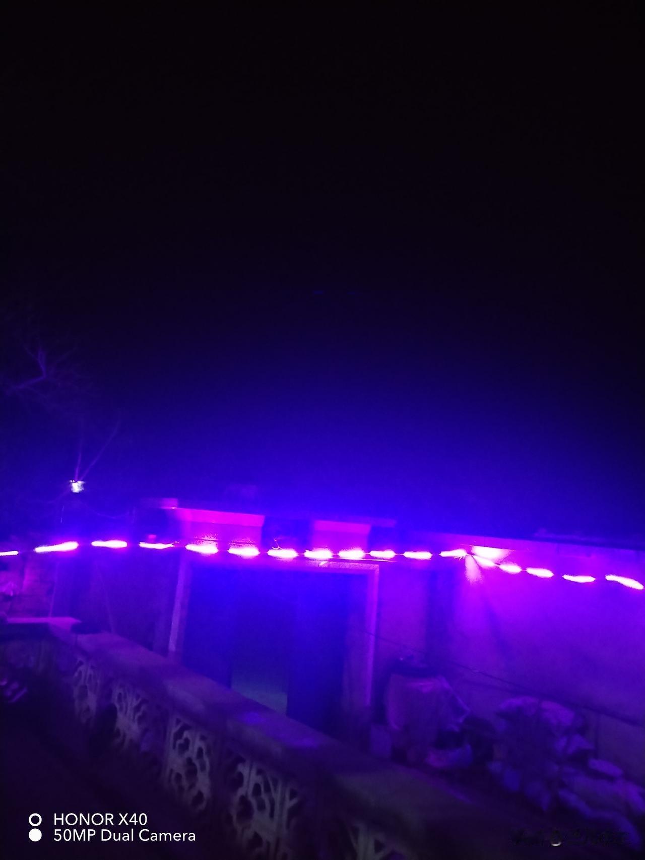 集卡领红包今天是除夕，我家院里的小灯点起来了。挺好看的。