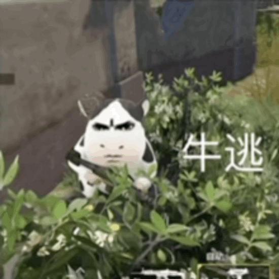 好可爱的牛图 