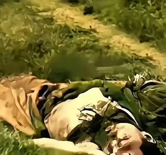 在南疆的高温湿热中，一名牺牲于敌人伏击的侦察兵烈士，因时隔多日，当救援战友赶到时