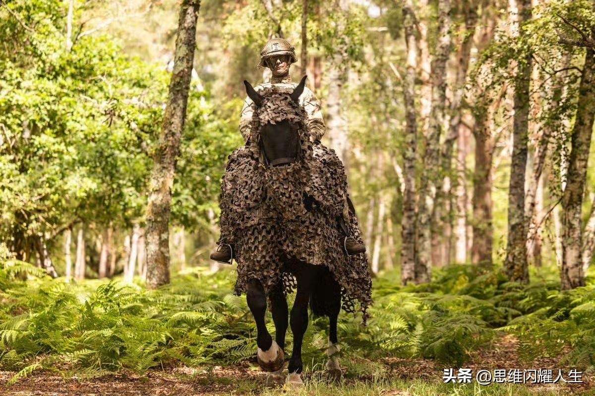 哈哈哈，咱们现在研究各种六代机，带英居然研究骑兵战马伪装衣，带英牛批啊！[捂脸]