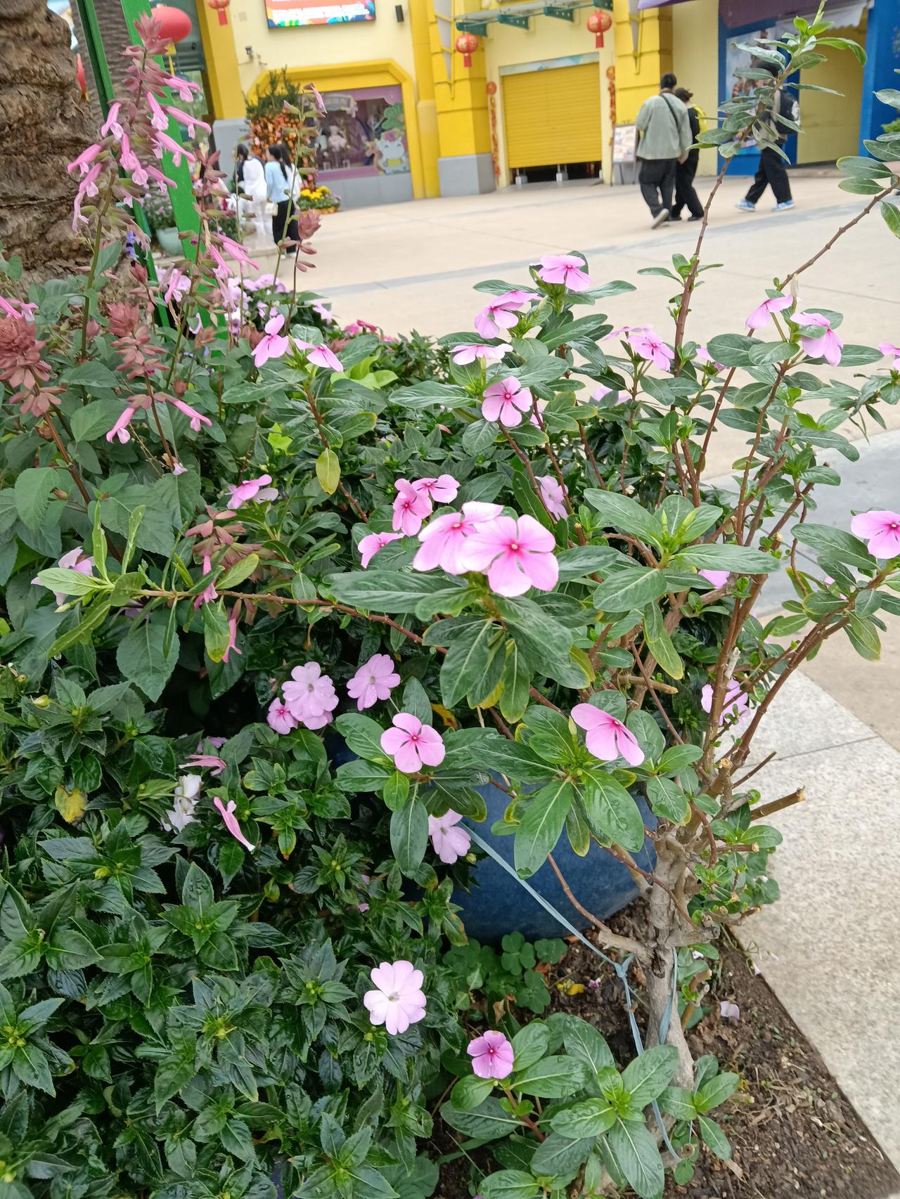 人生真得好好记录过往。我之前也不理解，为啥有人每天再忙都花时间记录自己。直到我翻