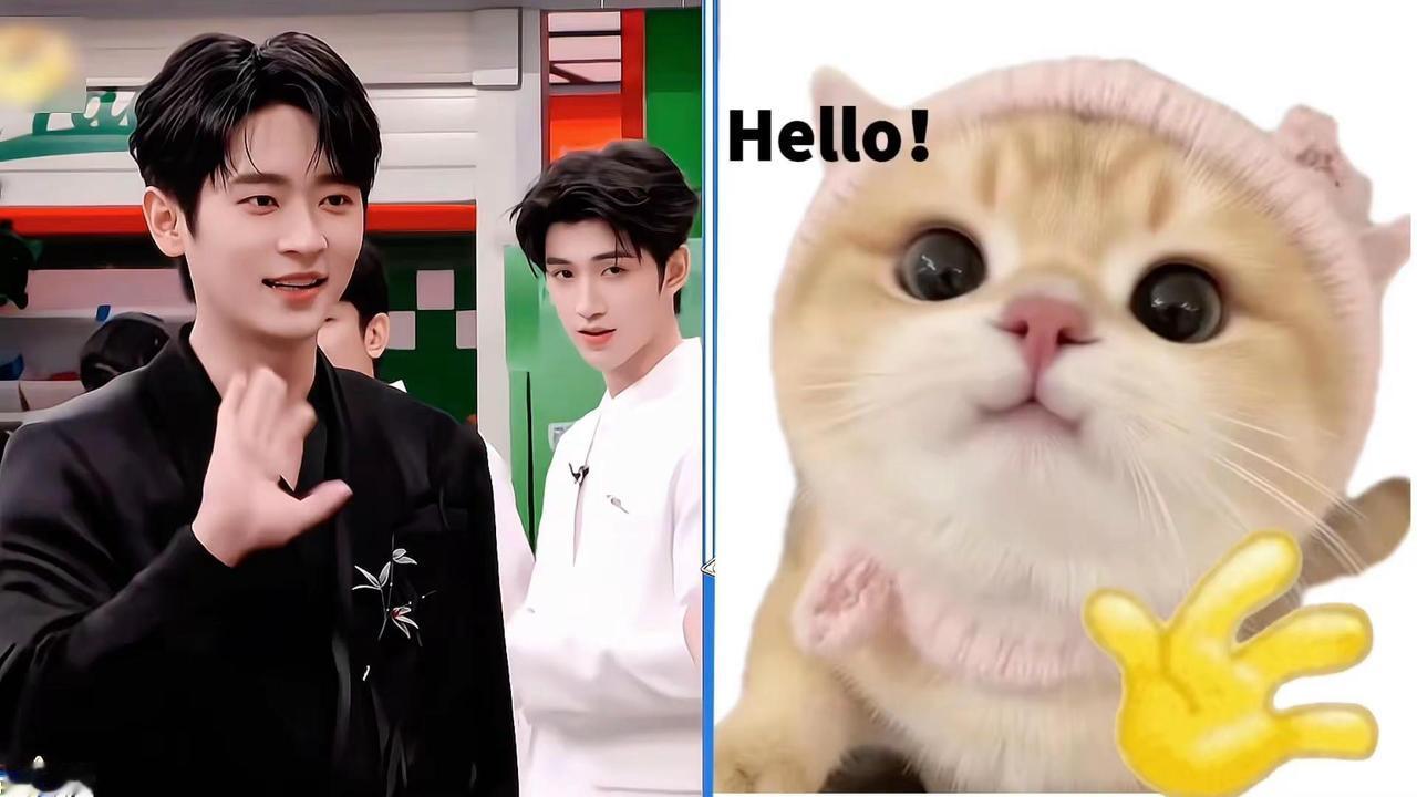 磊咪 哈喽哈喽~丞磊 小猫哈喽 猫塑 杨辉翔