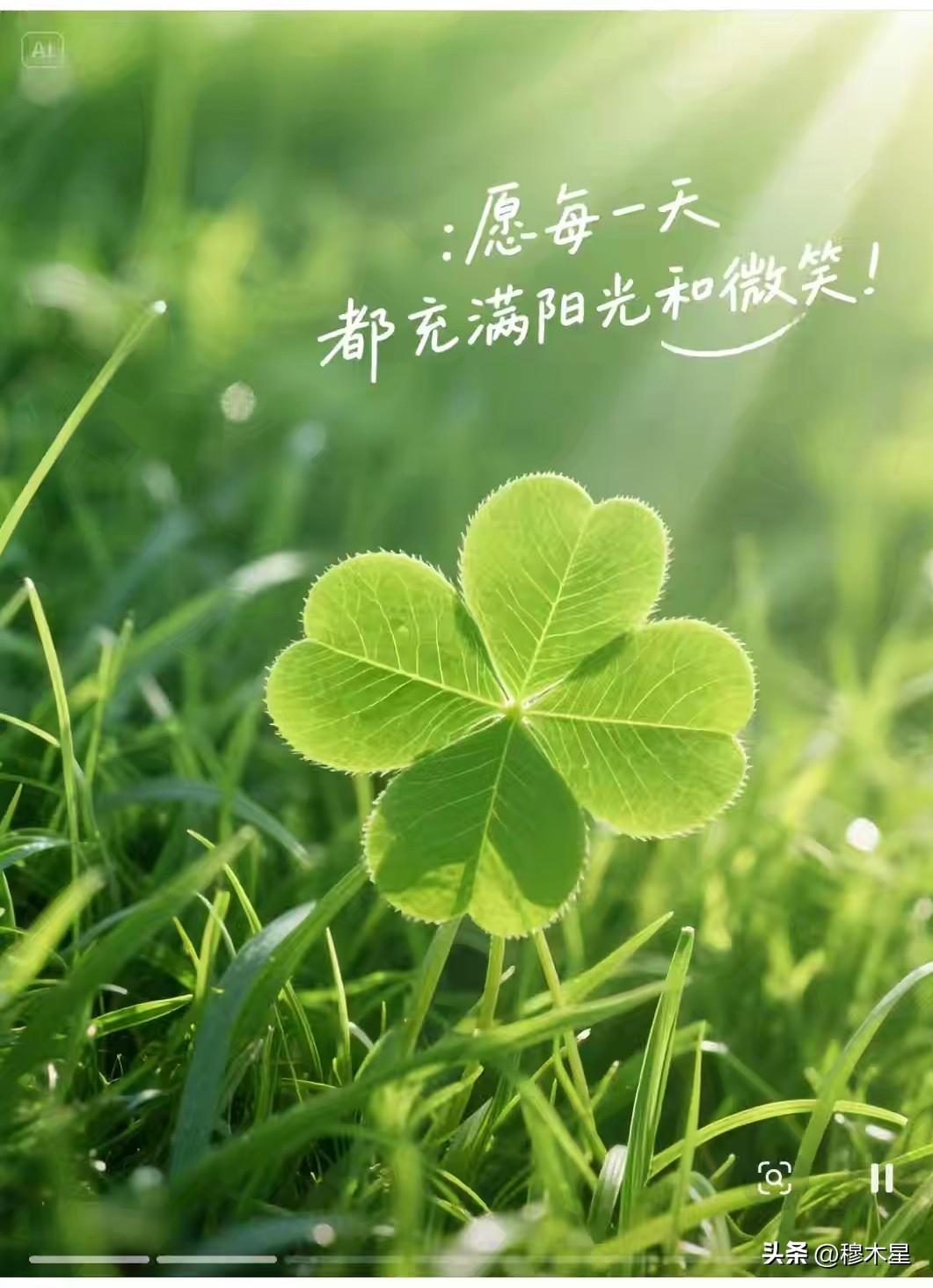 今天是2026年8月8日六月二十六，
六六大顺的日子，
八八大发的日子，
今日祈