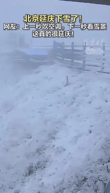 北京下雪我在武汉热的24小时开空调，结果北京居然在下雪这么爽的吗？