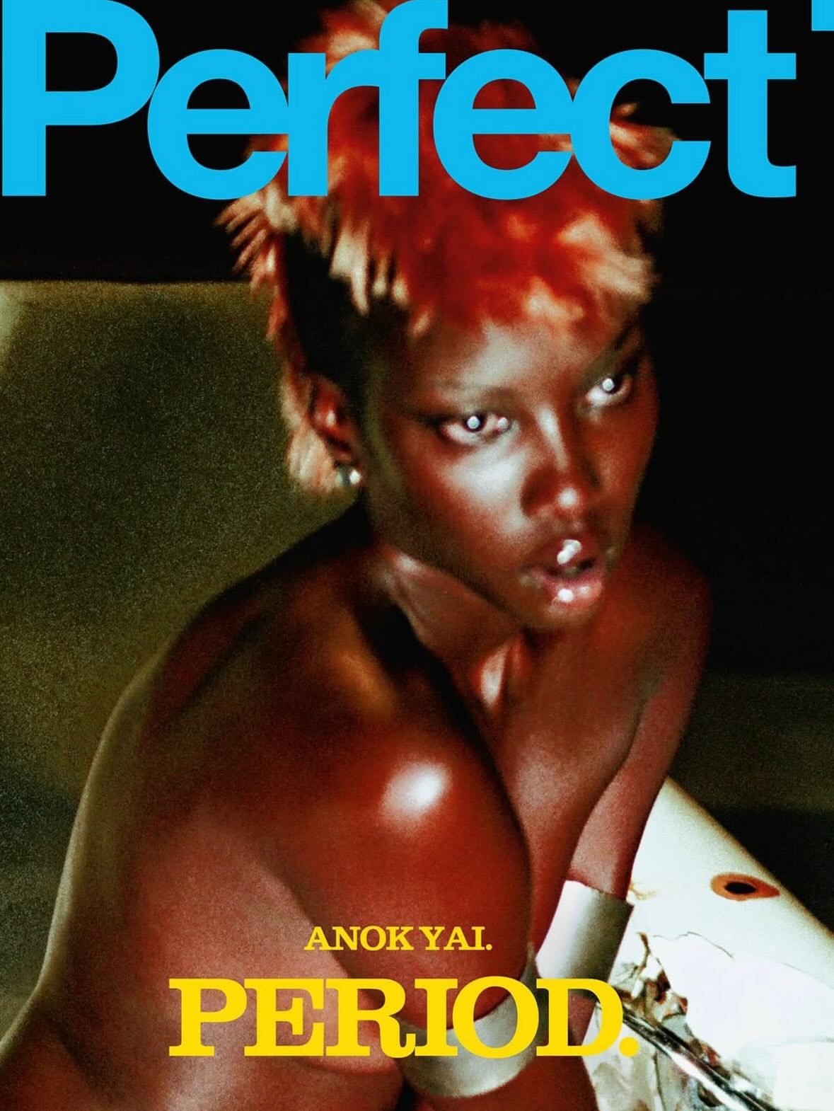 Anok Yai × The Perfect. Magazine「PERIOD.