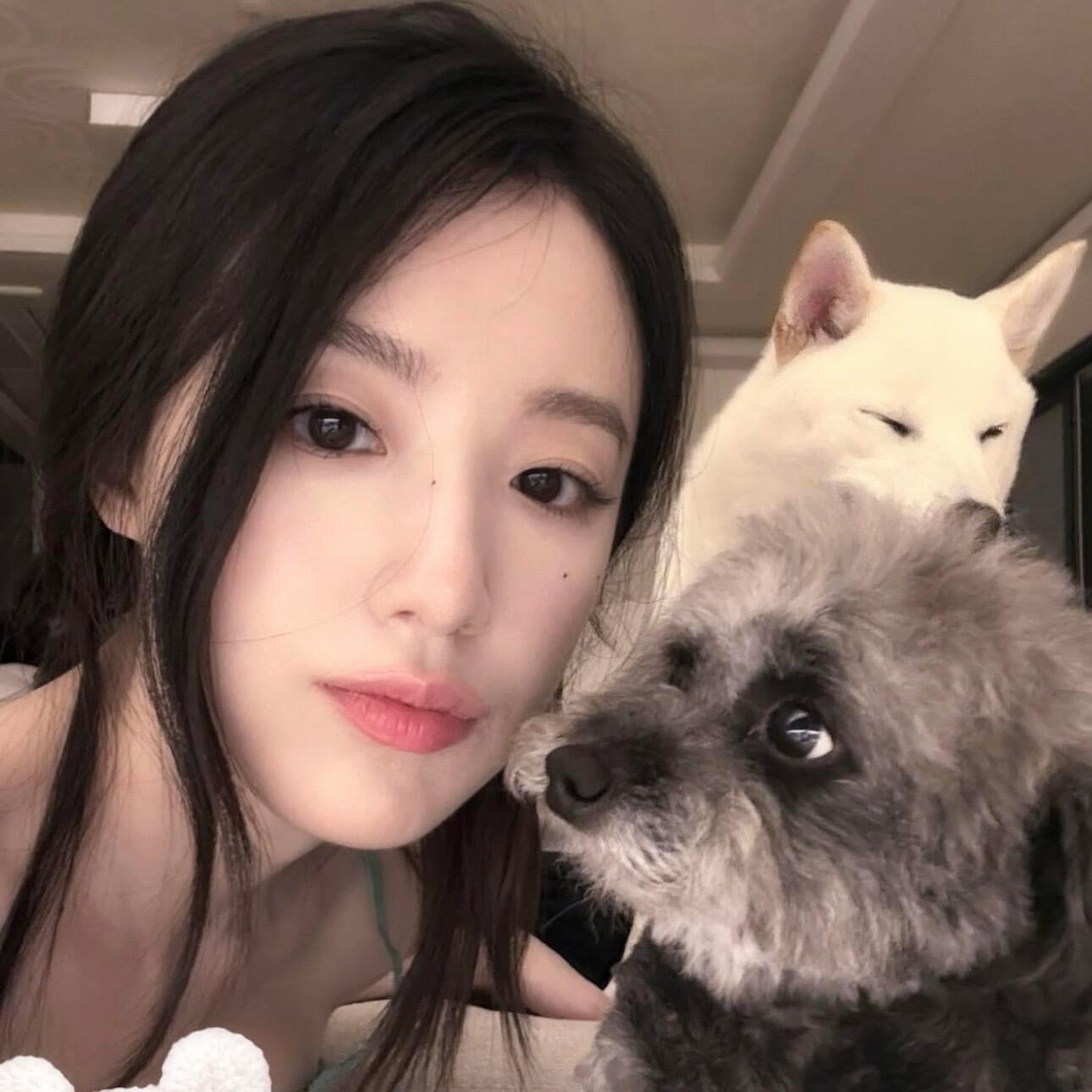 -𝐒𝐇𝐀𝐑𝐄｜叶舒华头像背景图搭配 ⸝⸝🐕꙳🥥◟🐾。 