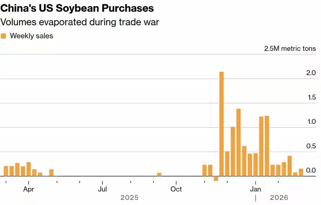 三月份了，中国还没买美国大豆，美国明显着急难耐了，各方施压特朗普！
据美国彭博社