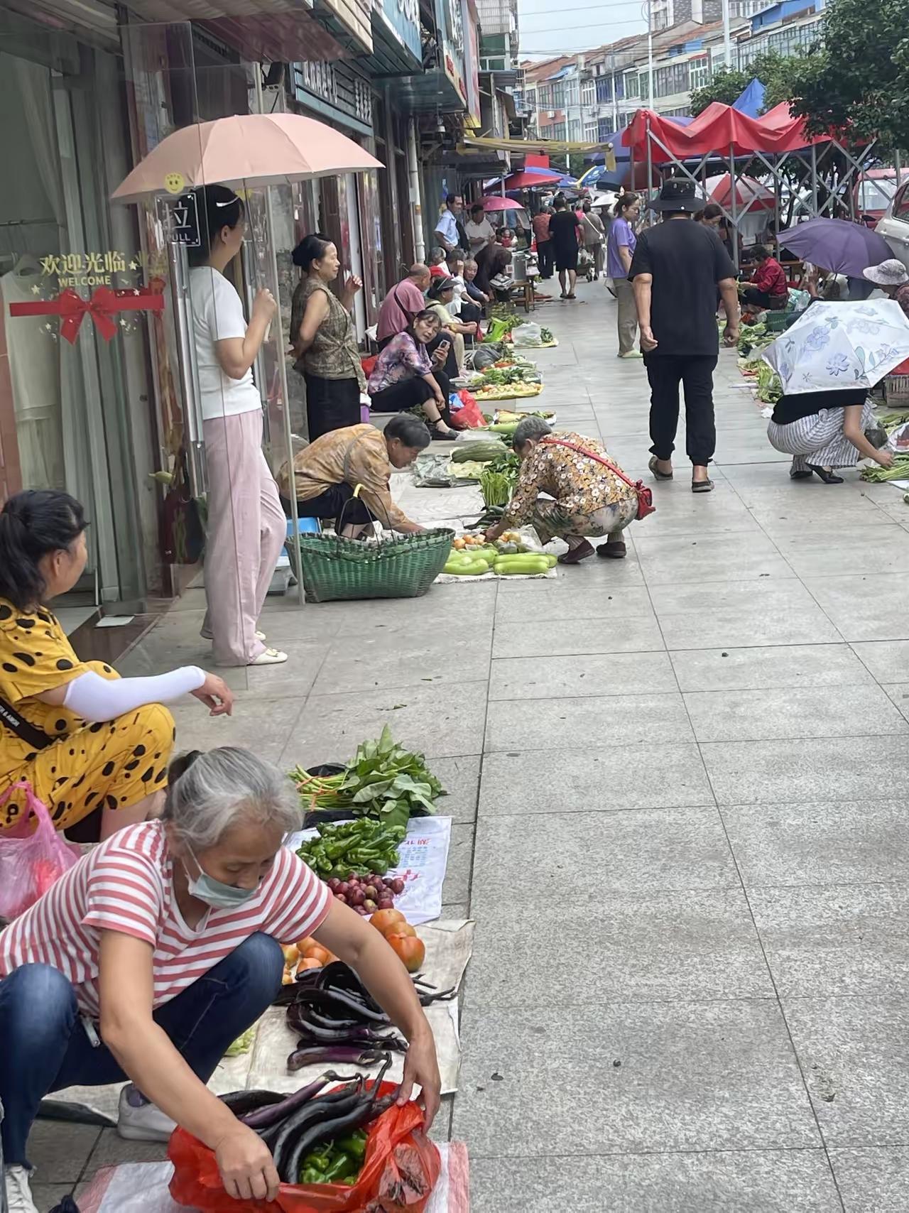 女儿毕业去珠海上班之后，我和老公决定回乡下躺平了，虽然我们俩也只有50万左右的存