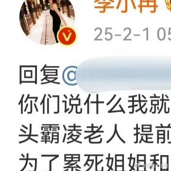 李小冉回应退繁花群 网友太厉害了，与其提高自己认知，不如指责别人问题，就自己是完