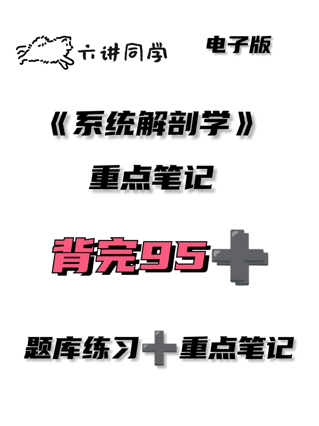 《系统解剖学》三小时背完🔥