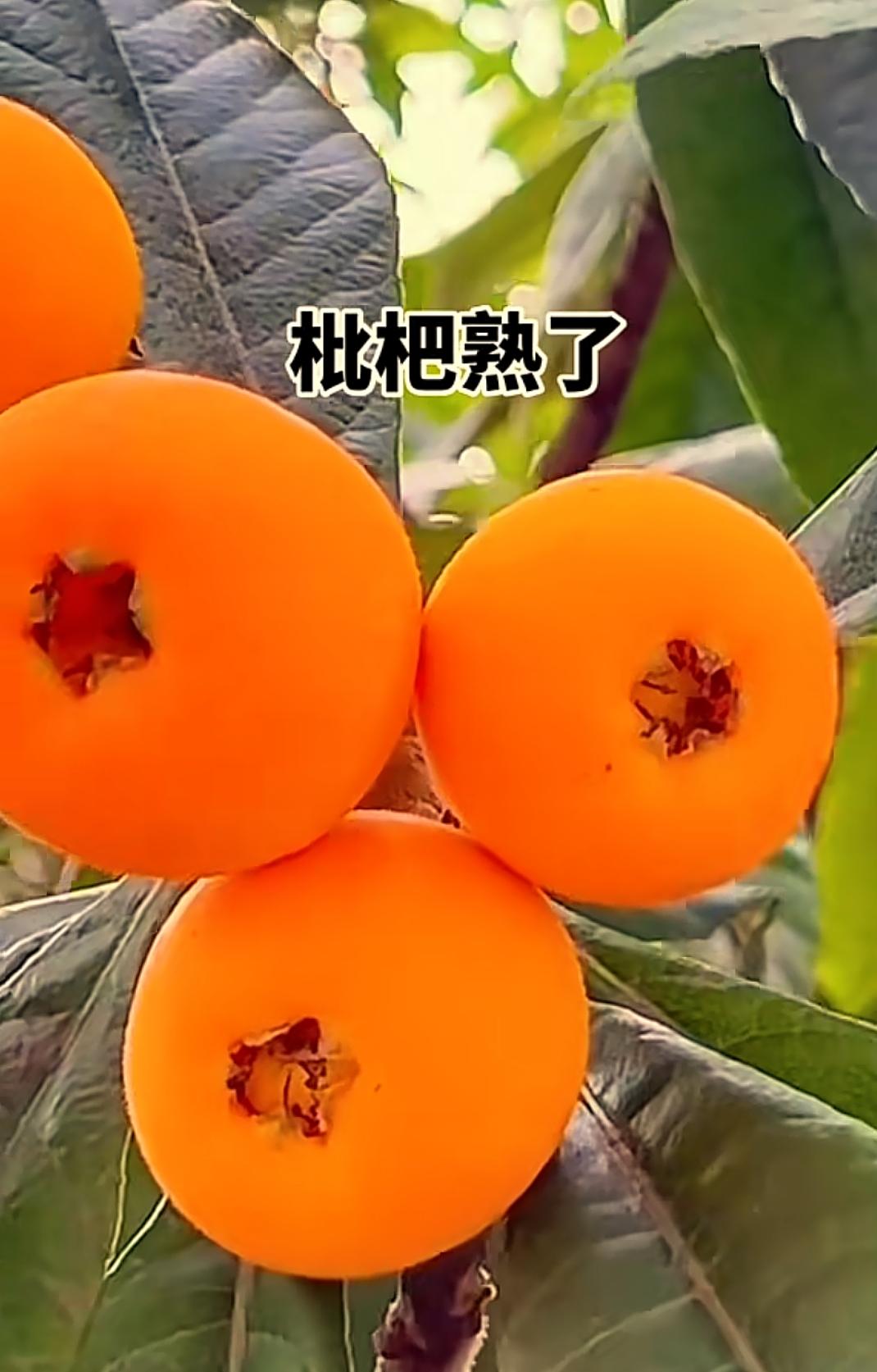 收盘了
今日三大指数呈现分化，沪指与深证成指收跌，而创业板指则逆势上涨。
盘中的