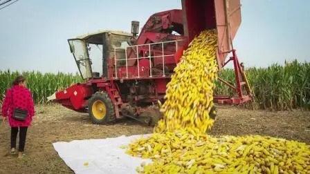 我有个亲戚这下可惨了，现在是叫天天不应，叫地地不灵，想哭都找不着调了。


去年