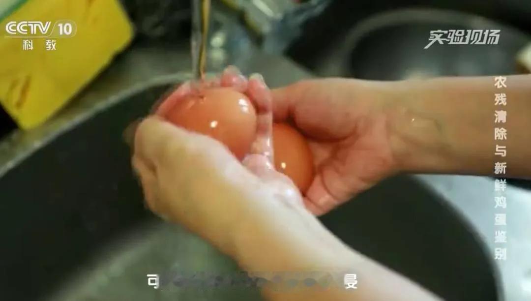 一家三口吃水洗鸡蛋后集体中毒！很多人都做错了！专家提醒

最近有新闻，一家三口吃