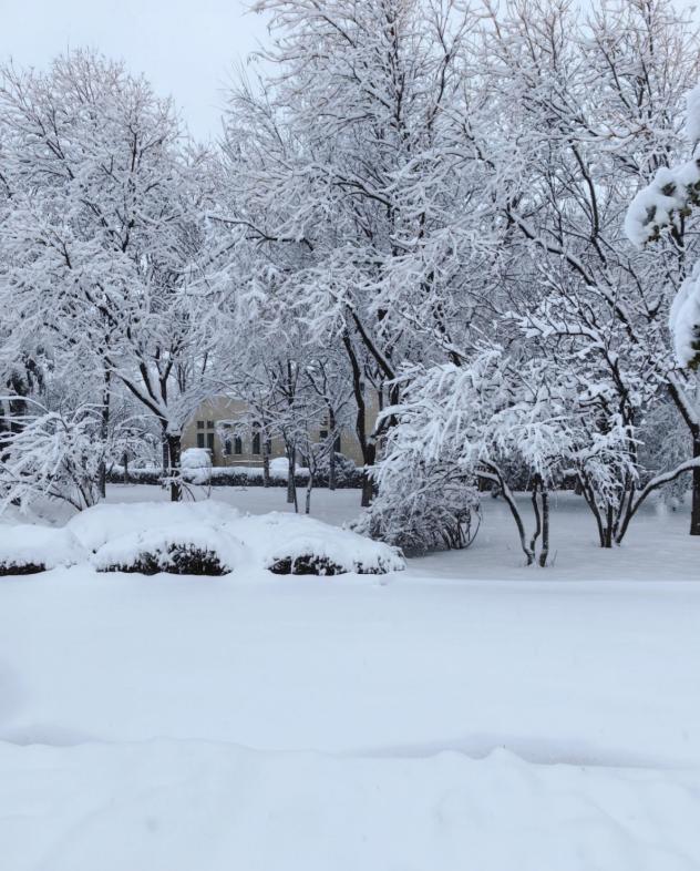 这次寒潮，重点已经不是降温了。中央气象台的首席预报员张涛说，真正要命的，是马上要