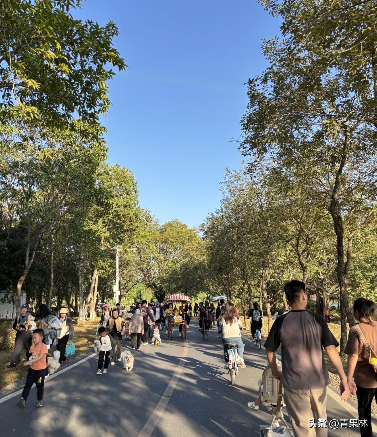 刚开心儿子顺利读博，转眼说家人接连就医烦心不已。前一刻说立志自律管住嘴迈开腿，转