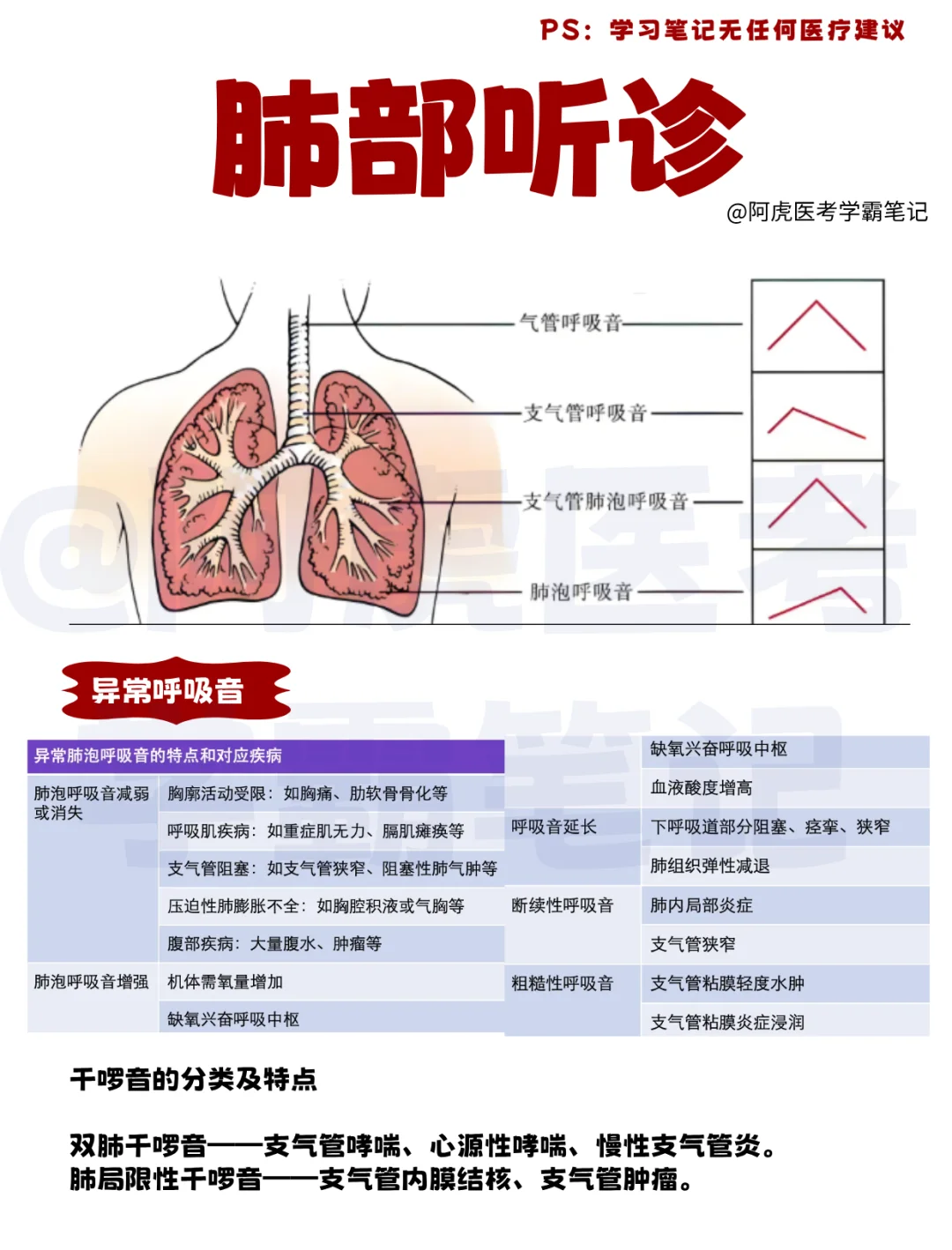 医学生笔记📒：肺部听诊👆