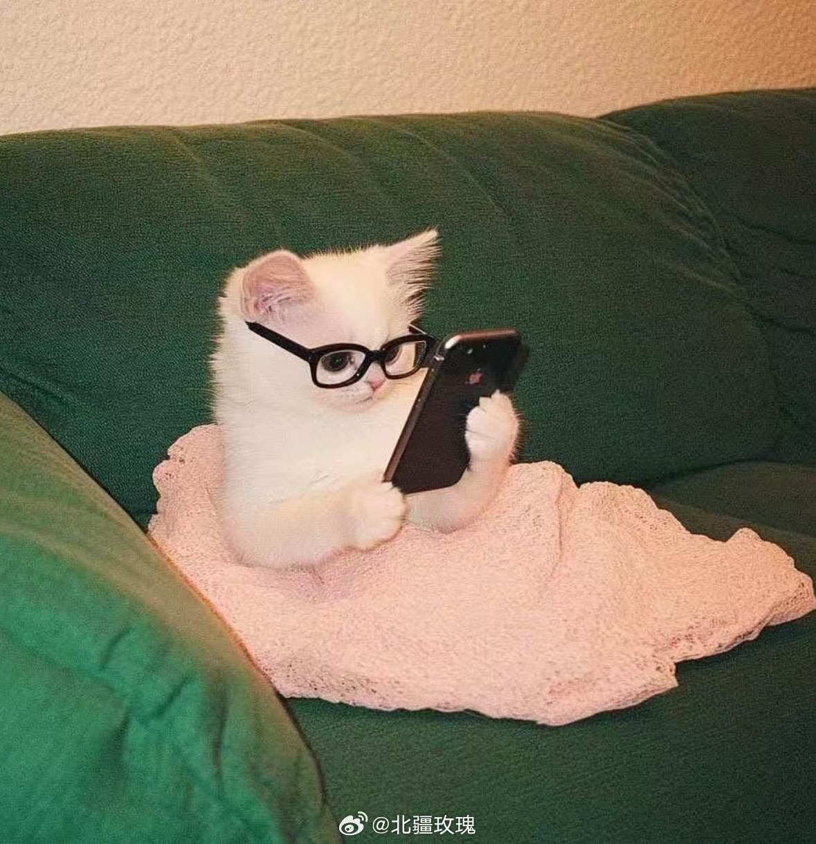 小宝 