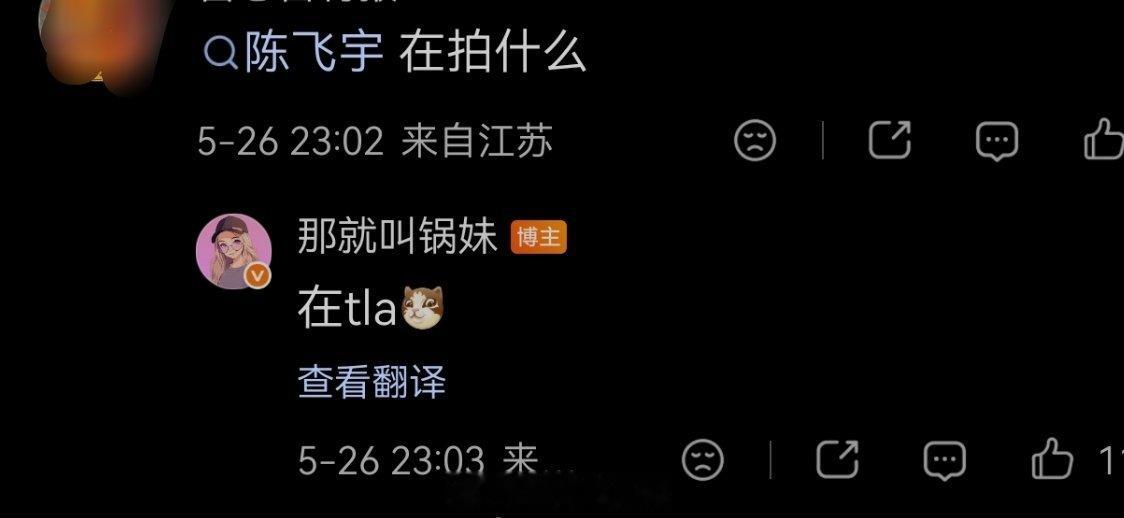 陈飞宇 在tla