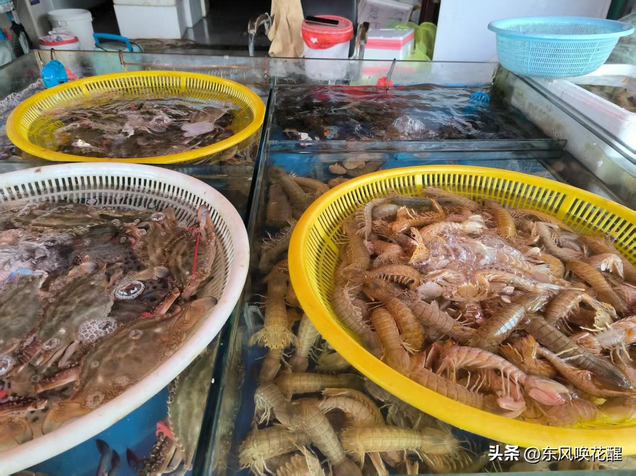 遛完大集，回来时去何庄子批发市场又遛了溜。
这里的市场主要卖水产品，蔬菜和水果。