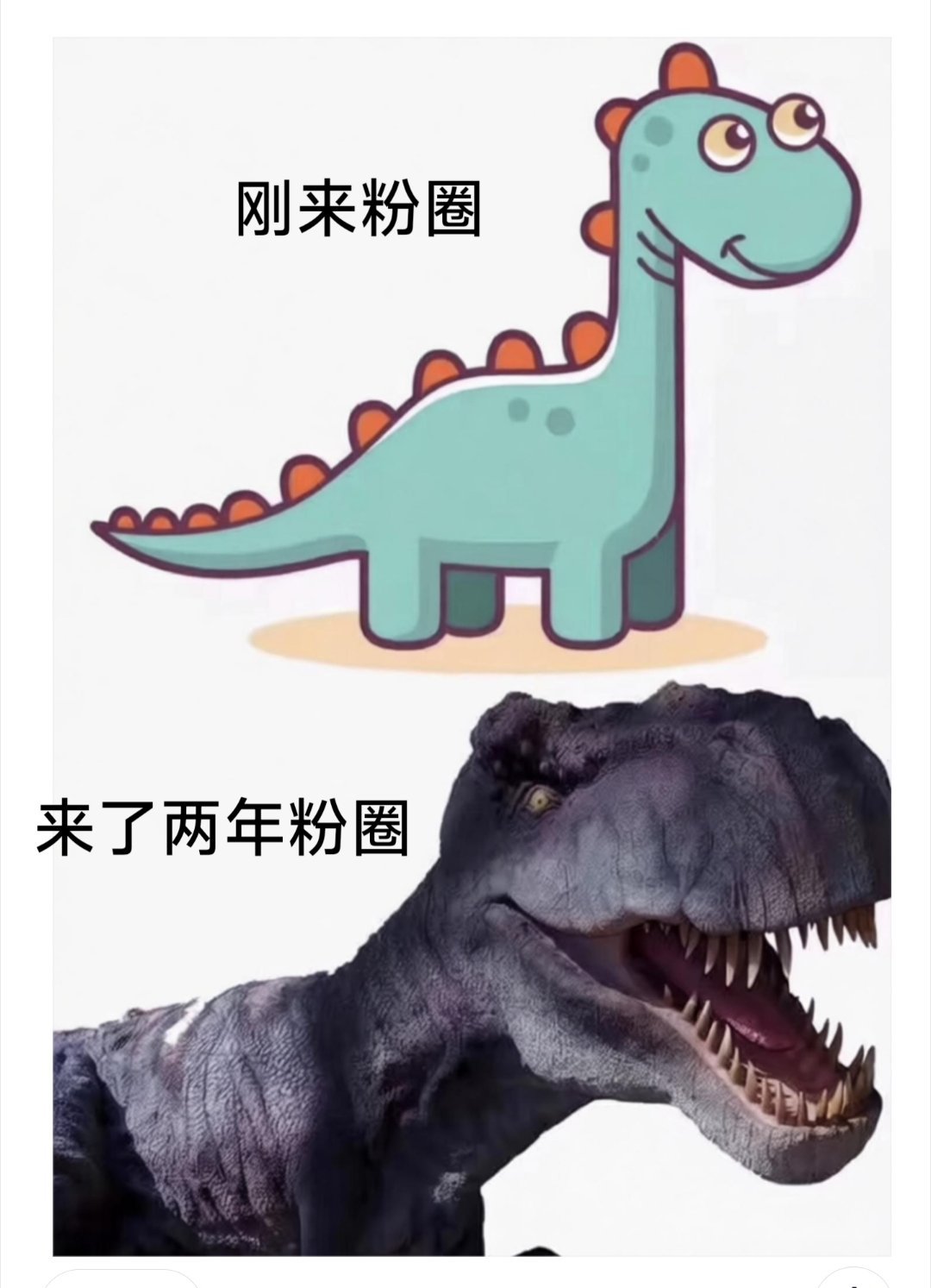 别打赏我积分哈，自己留着哈，宝。