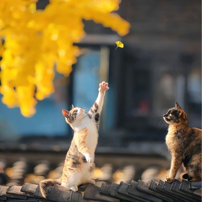 ✎﹏ 💭💤“ 任何关系 最后看的是良心   拼的是人品 留的是信任！”