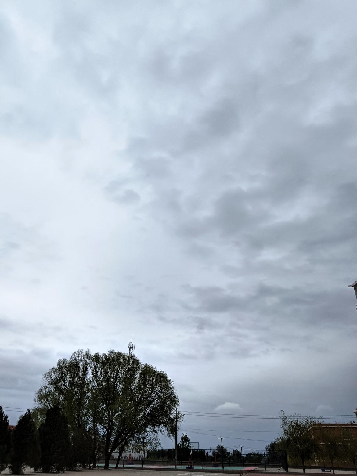 阴云密布的天空下，静谧的公园等待着你的探索。🌧️🌳🏀