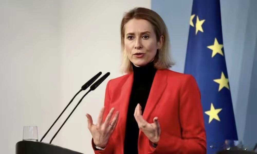 欧盟外长卡拉斯在慕尼黑说，她认为欧盟成员国尚未准备好向乌克兰提供具体入盟日期。(