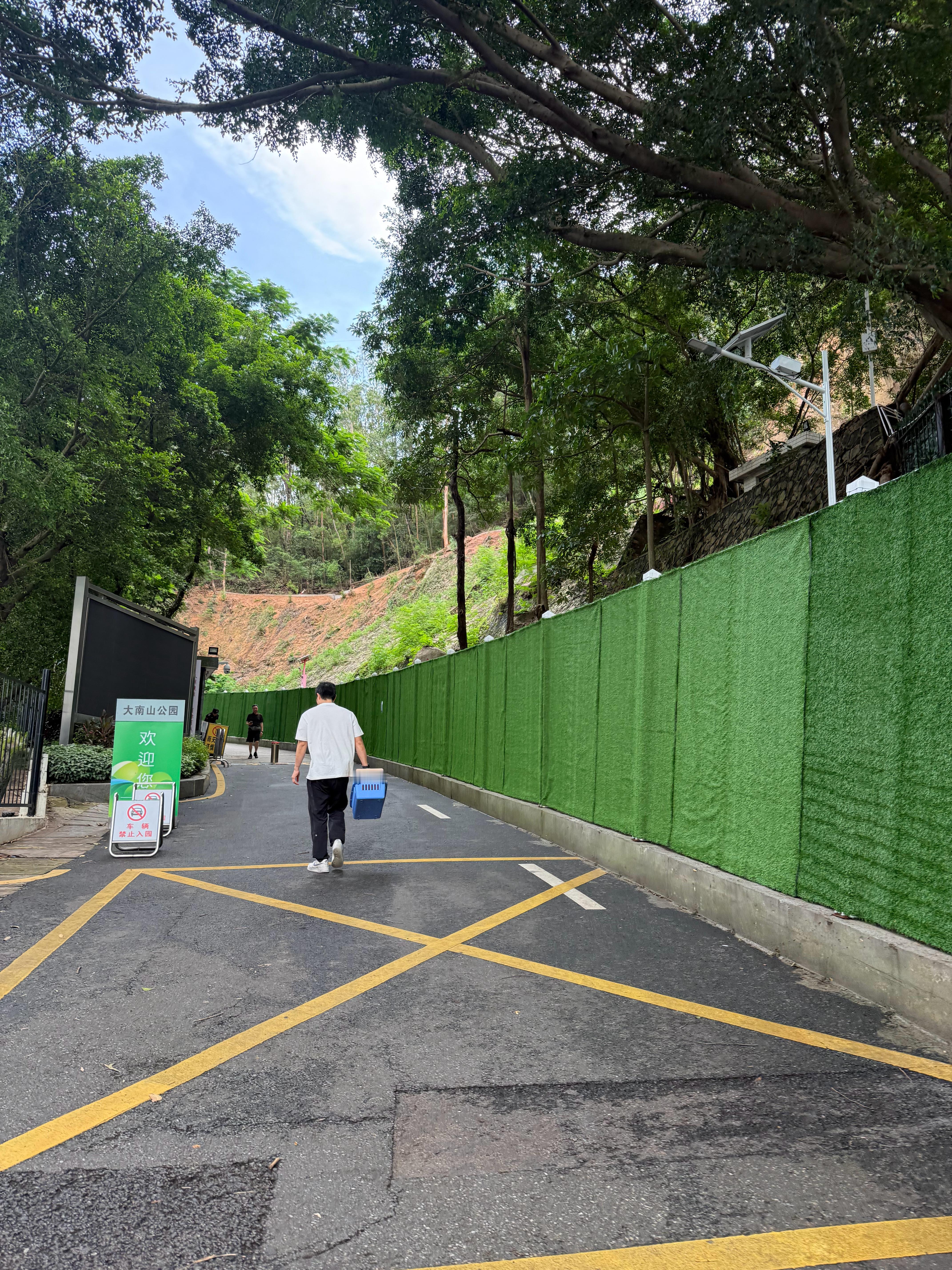爬了半小时才到小半山腰。保安: 不能偷我们山上的东西哦流浪猫