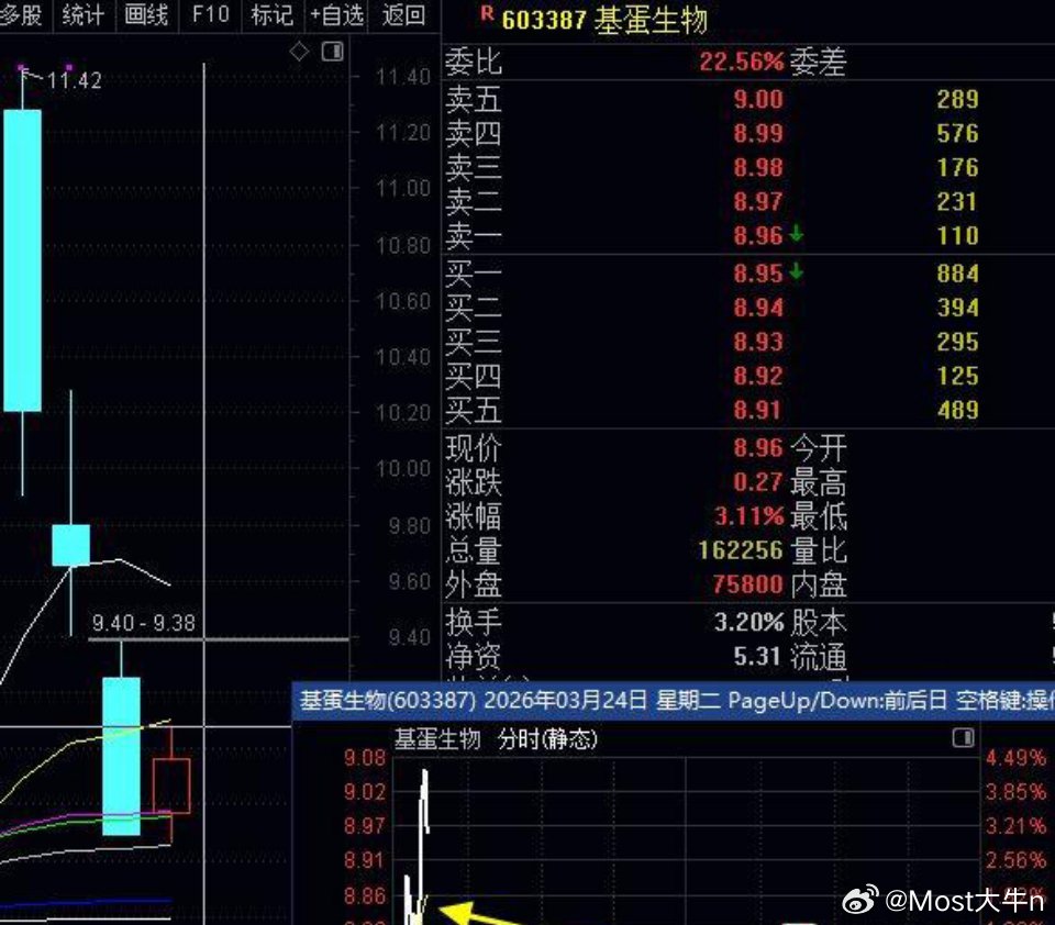 大涨4%+基蛋主力开始拉升自救，指数在美国股市大涨利好刺激下，今天高开震荡，但是
