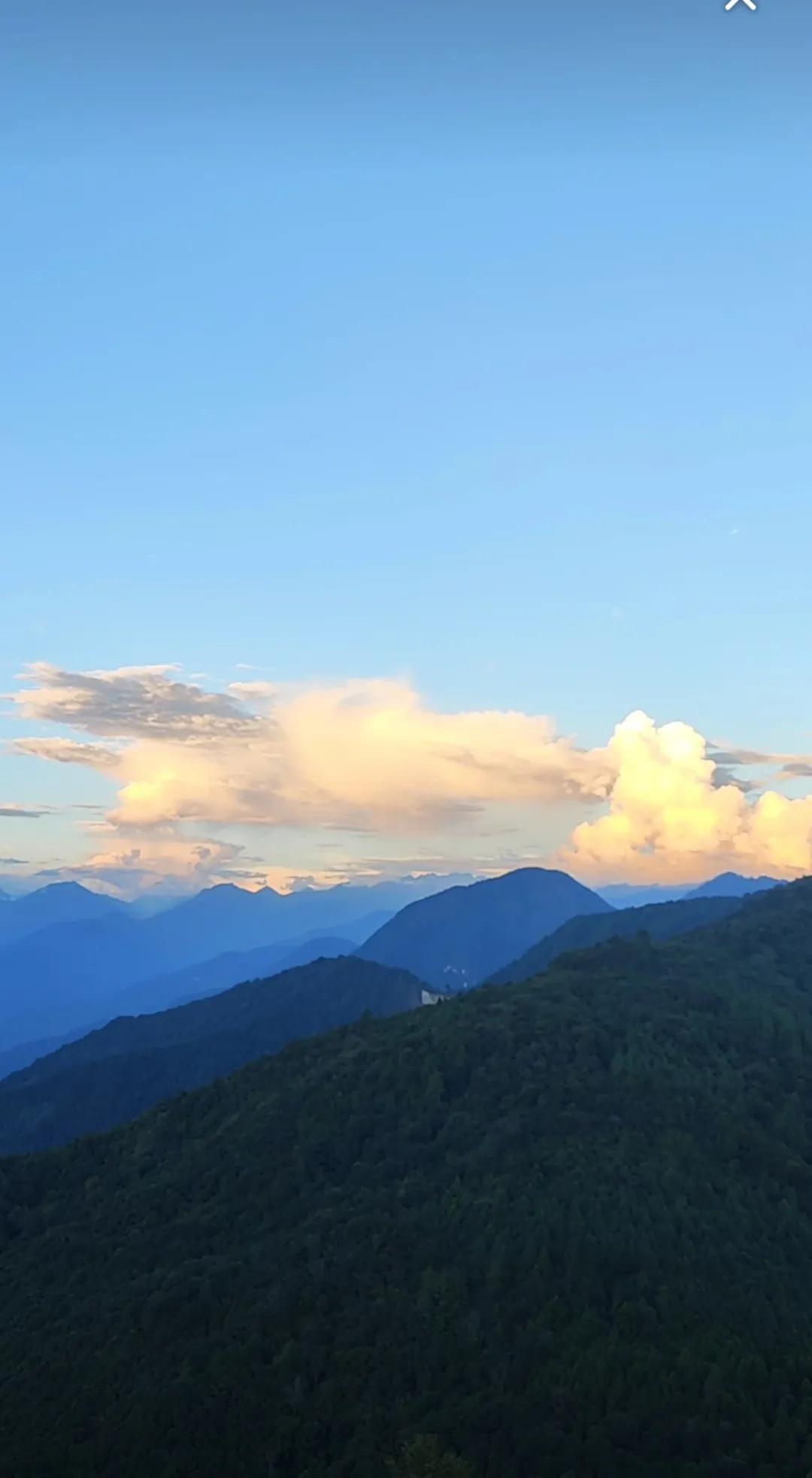 旅行随手拍古镇石板路的缝隙里，冒出几丛小雏菊，穿蓝布衫的阿婆提着竹筐走过，影子和