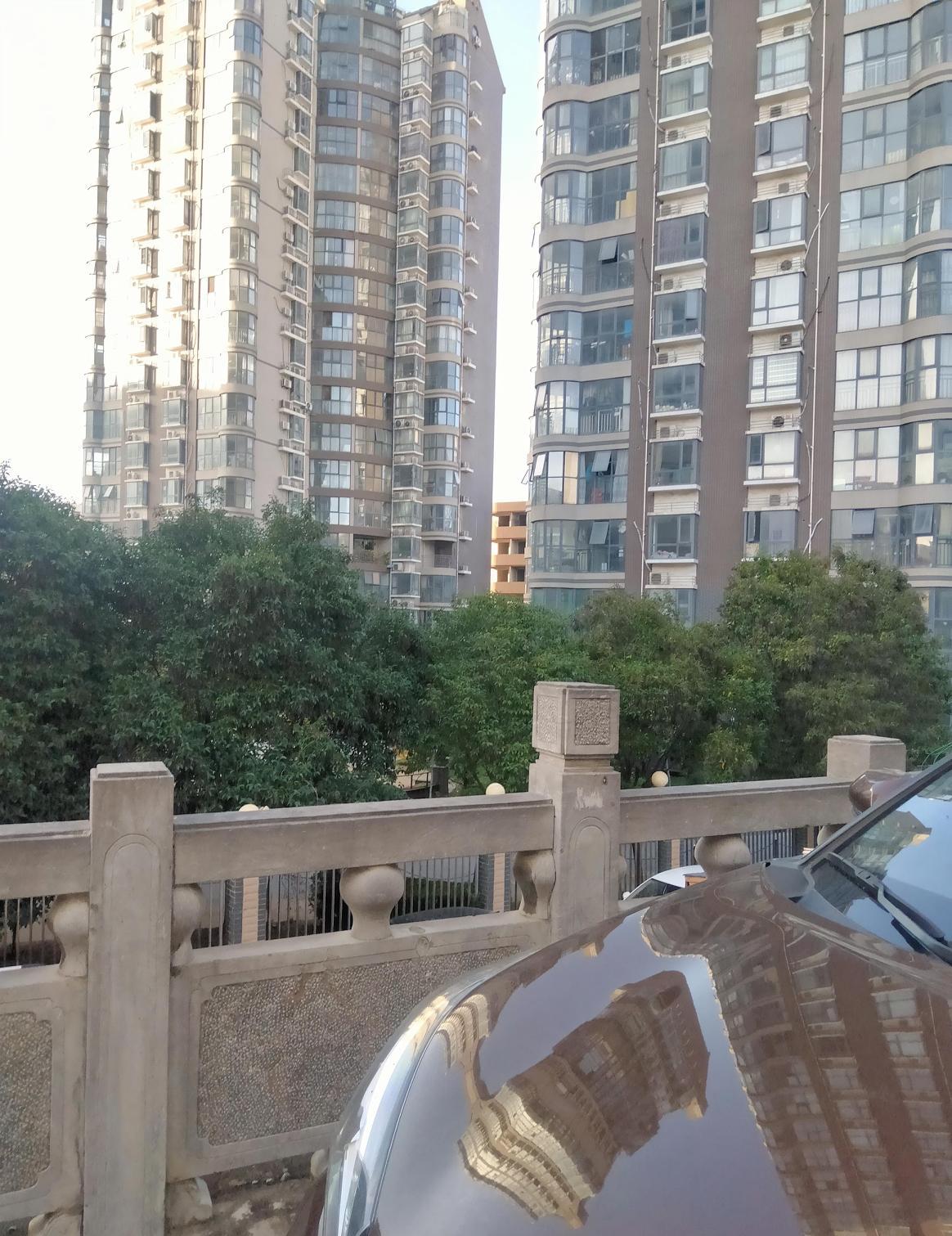 那天傍晚，我在小区附近遛弯，抬头一看，两栋高楼像两个沉默的巨人，直插云霄。楼前的