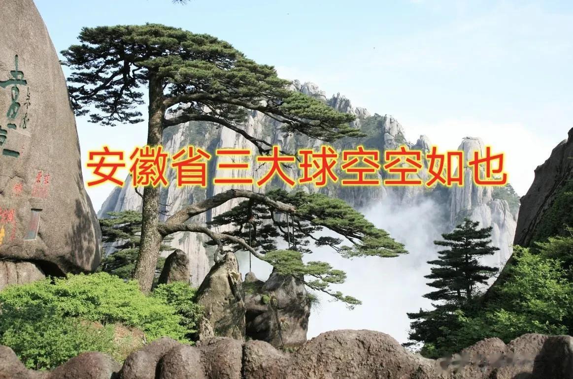安徽省三大球（球队）空空如也，安徽省、合肥市体育局有何感想？

中超联赛16支球