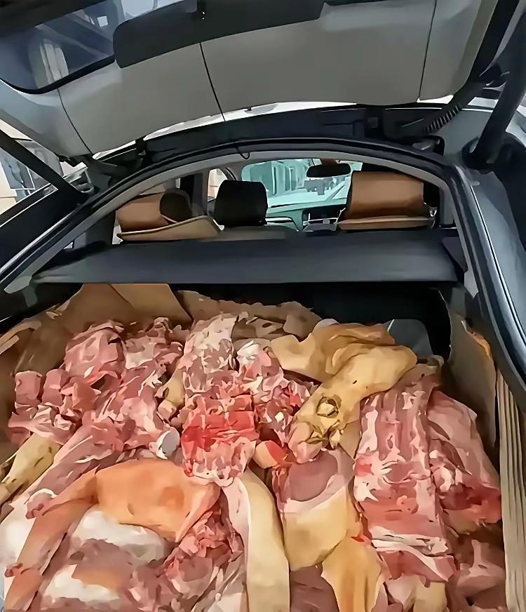 路上碰到一个用宝马车拉猪肉的老板，这人怎么想的？ ​​​