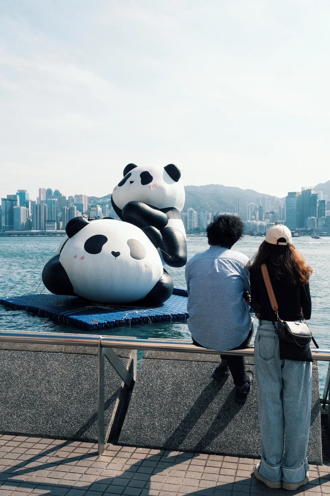 先出发再说｜香港摄影｜熊猫