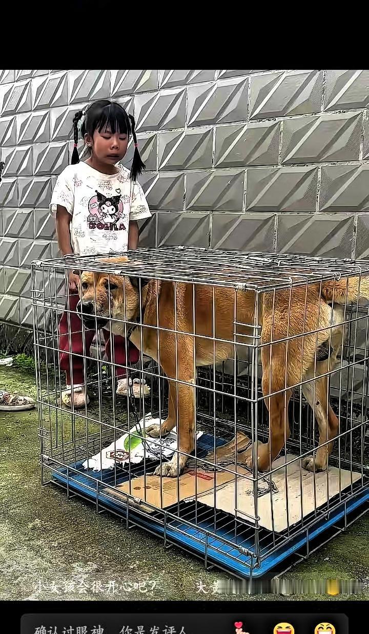 广西桂林，老奶奶1500元卖掉了跟随多年的大黄狗，正当狗贩子把大黄关在笼子里准备