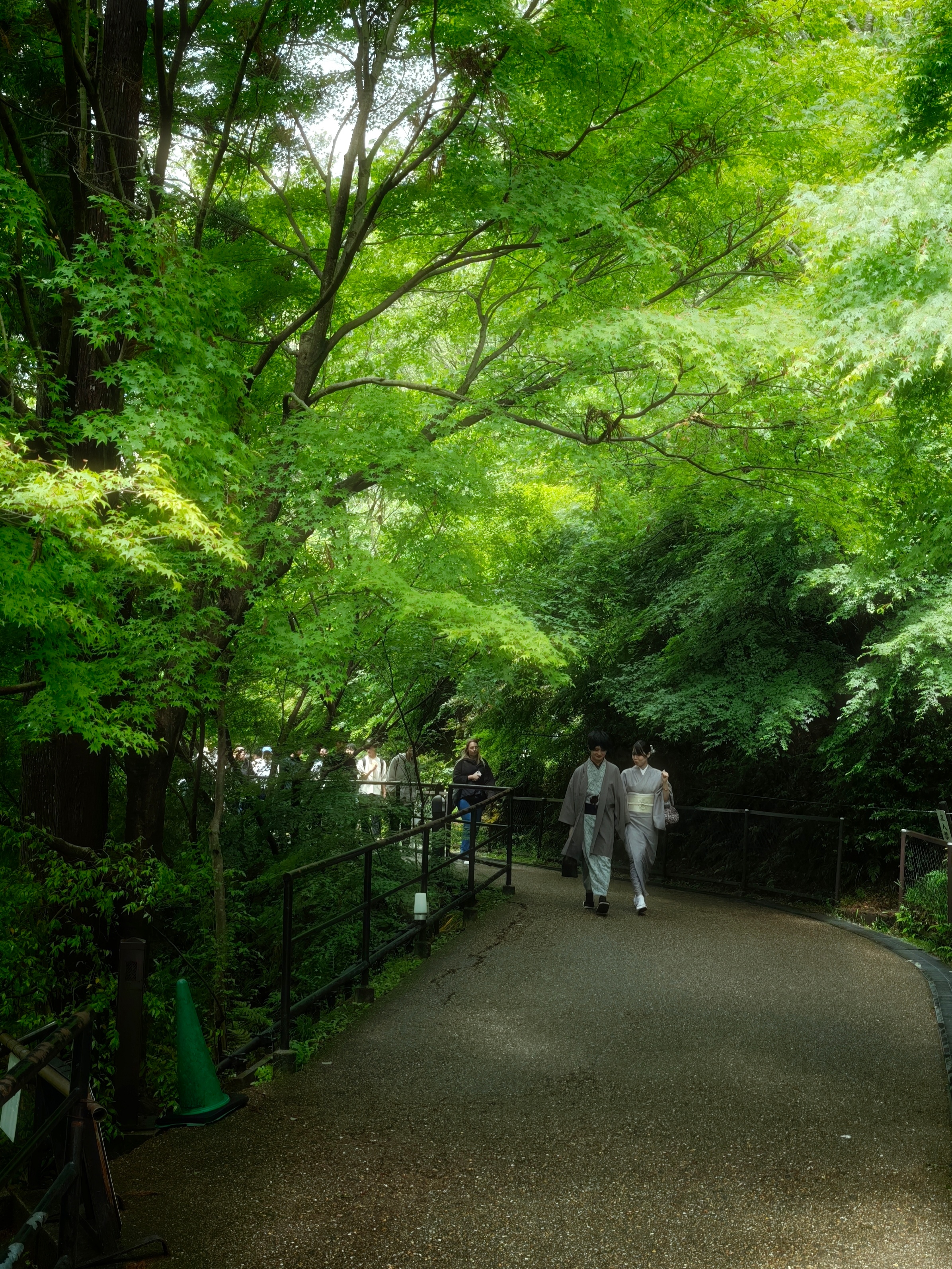 京都清水寺 日本·清水寺