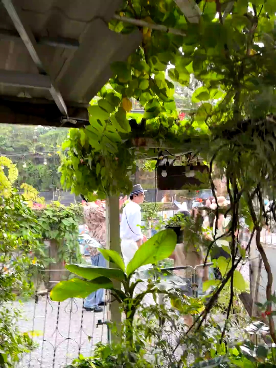 事实证明章明伯也受不了下雨非要展示享受的老公 