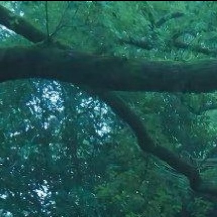 每一个清晨苏醒，记得告诉自己：没有奇迹，只有你努力的轨迹；没有运气，只有你坚持的