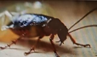 除障不求人，这些方法还真简单有效。修行本就是破障过程，破障不妨一切反着来。
佛家