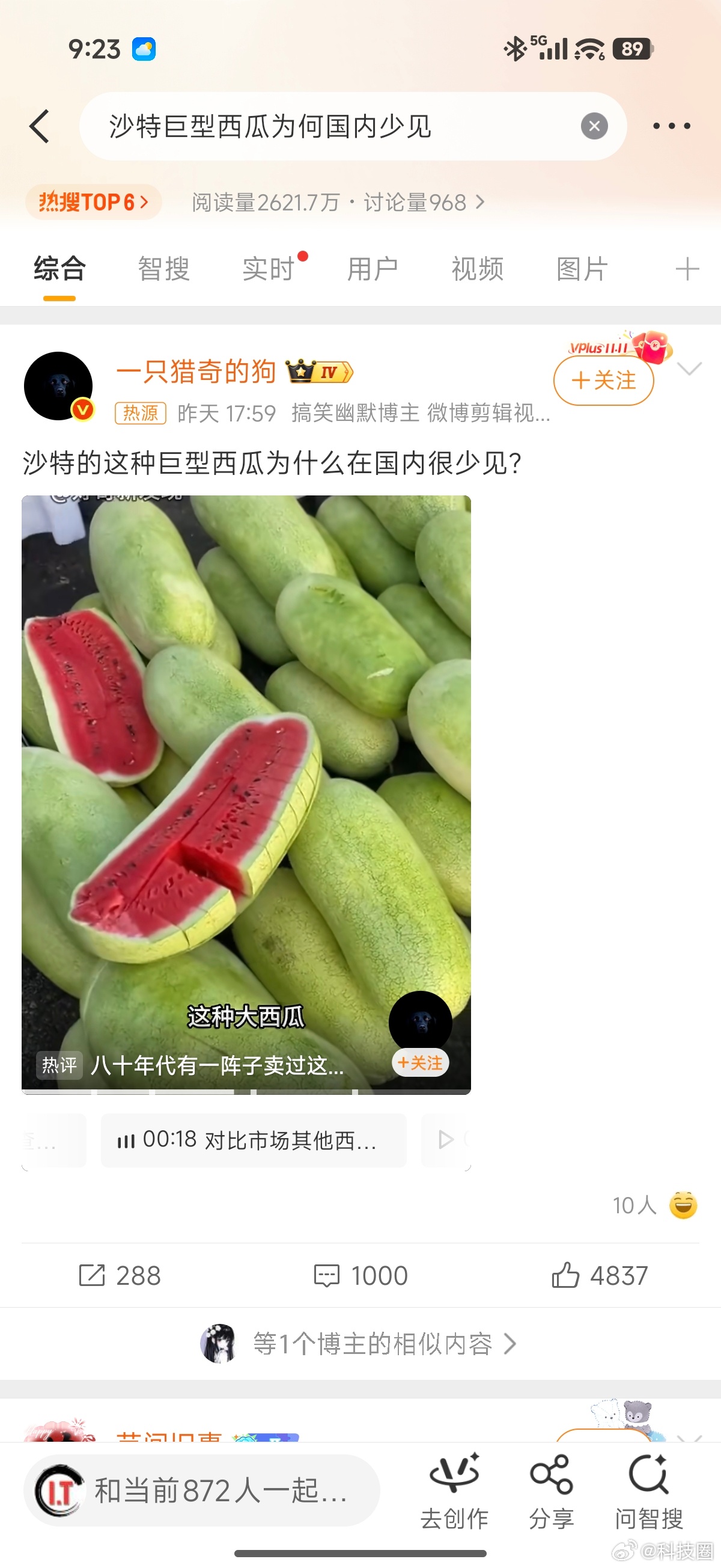 沙特巨型西瓜为何国内少见要说大西瓜，新疆那边的品种，就很大。非得要这个品种，只能