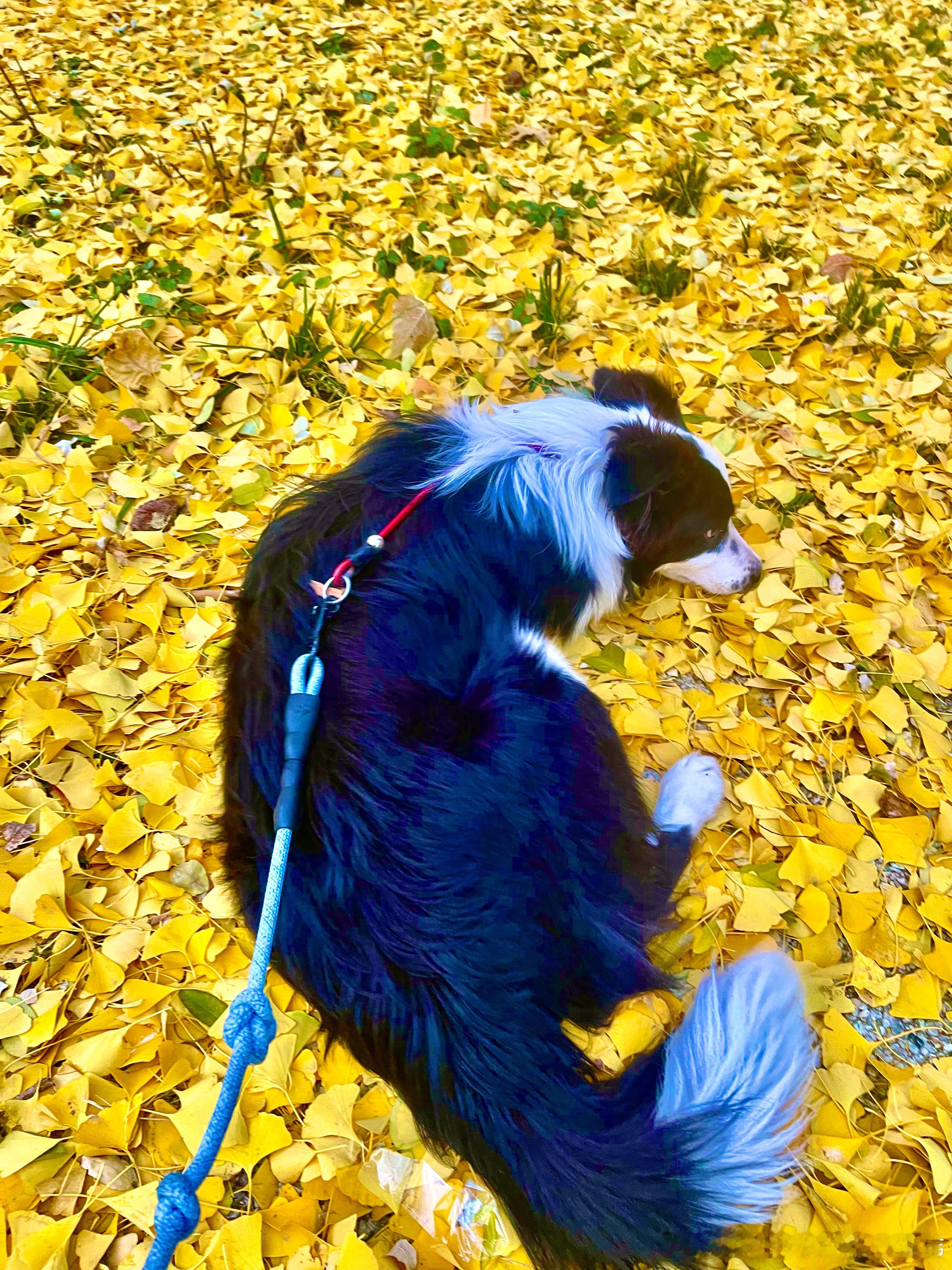 早安：年轻时，总觉得把“搞钱”挂嘴边，特别俗气。后来才慢慢明白，那份能理直气壮谈